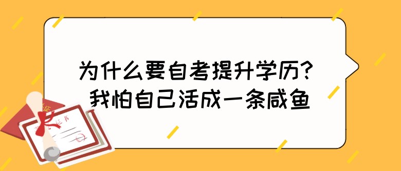 为什么要自考提升学历？我怕自己活成一条咸鱼