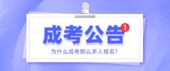 为什么成考那么多人报名?