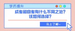 成考和自考有什么不同之处？该如何选择？