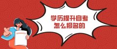 学历提升自考怎么报名的