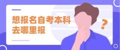 想报名自考本科去哪里报