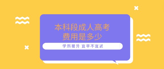 本科段成人高考费用是多少