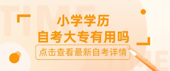 小学学历自考大专有用吗